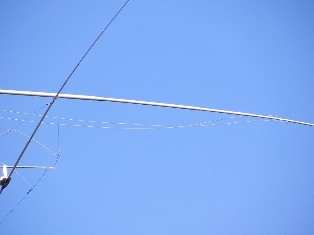DSCN1650