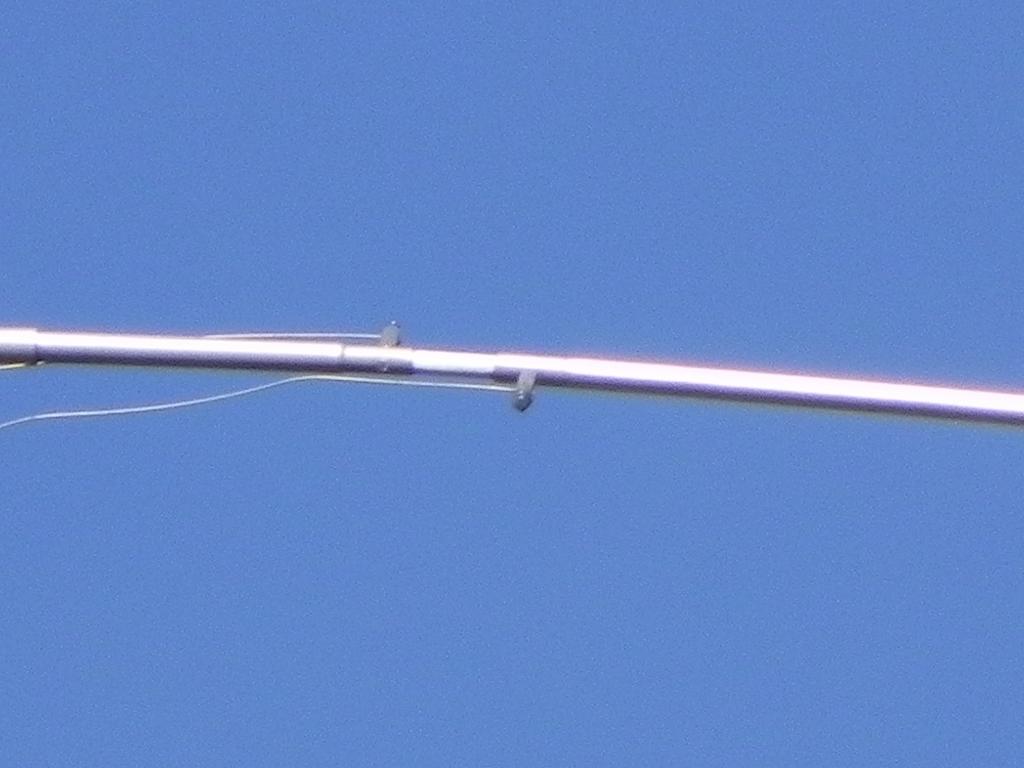 DSCN1654