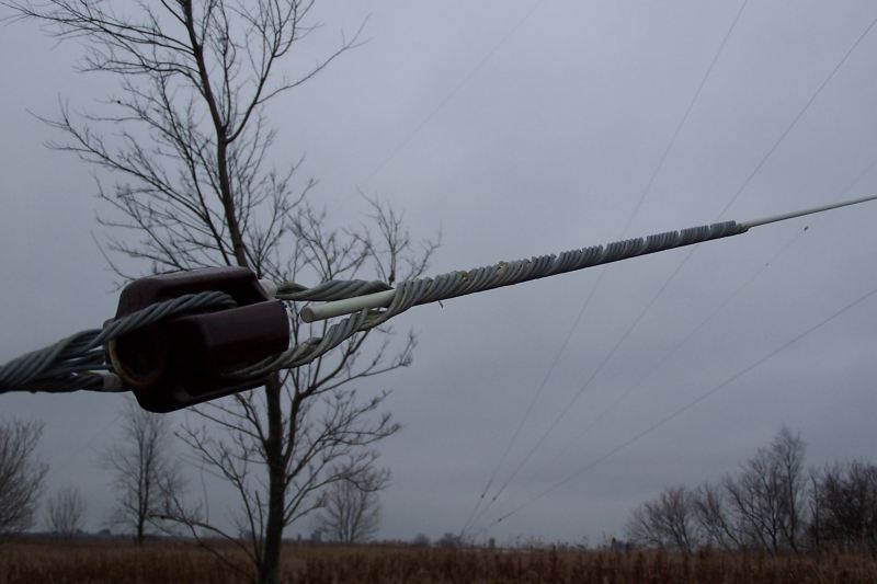 closeup of the guy grip on the fiberglass rod.  Pic taken late fall.
