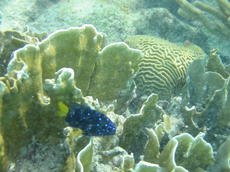 IMG_9851.JPG