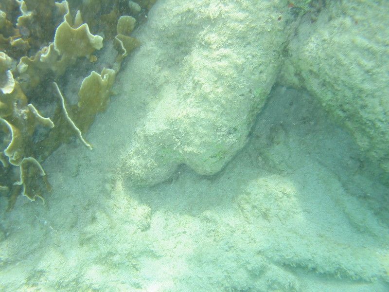 IMG_9853.JPG