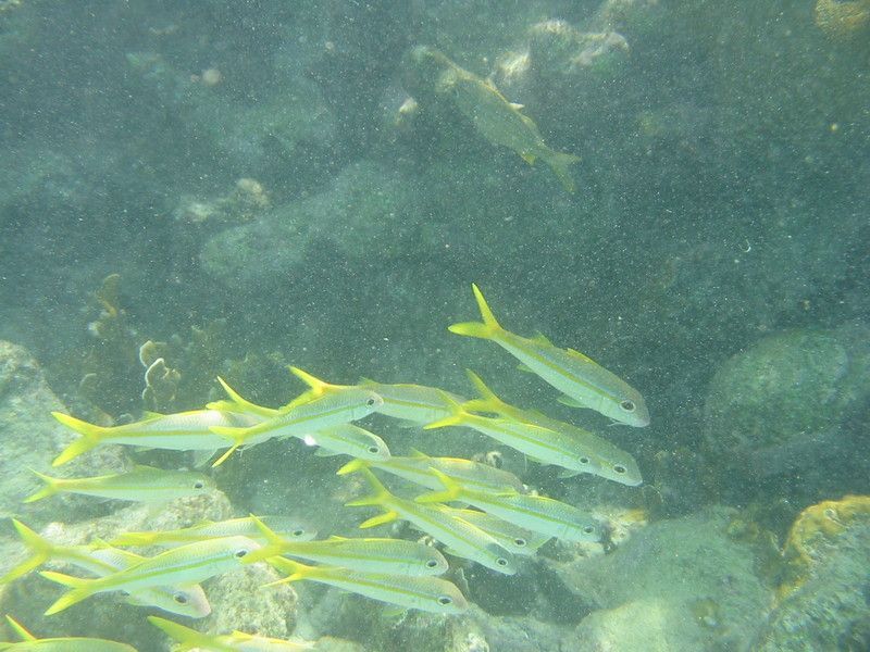 IMG_9859.JPG
