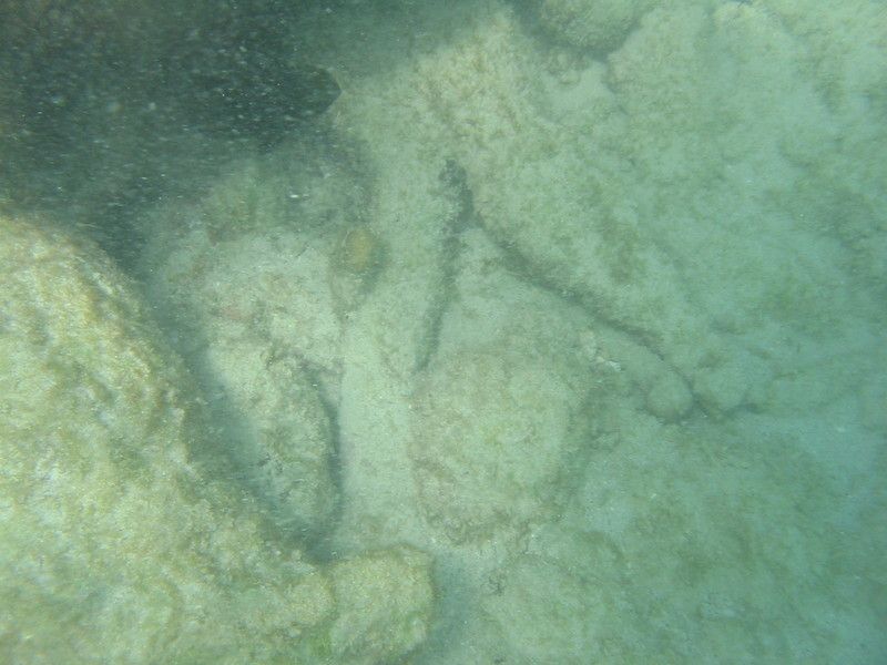 IMG_9877.JPG