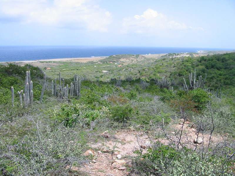 Curacao landscape