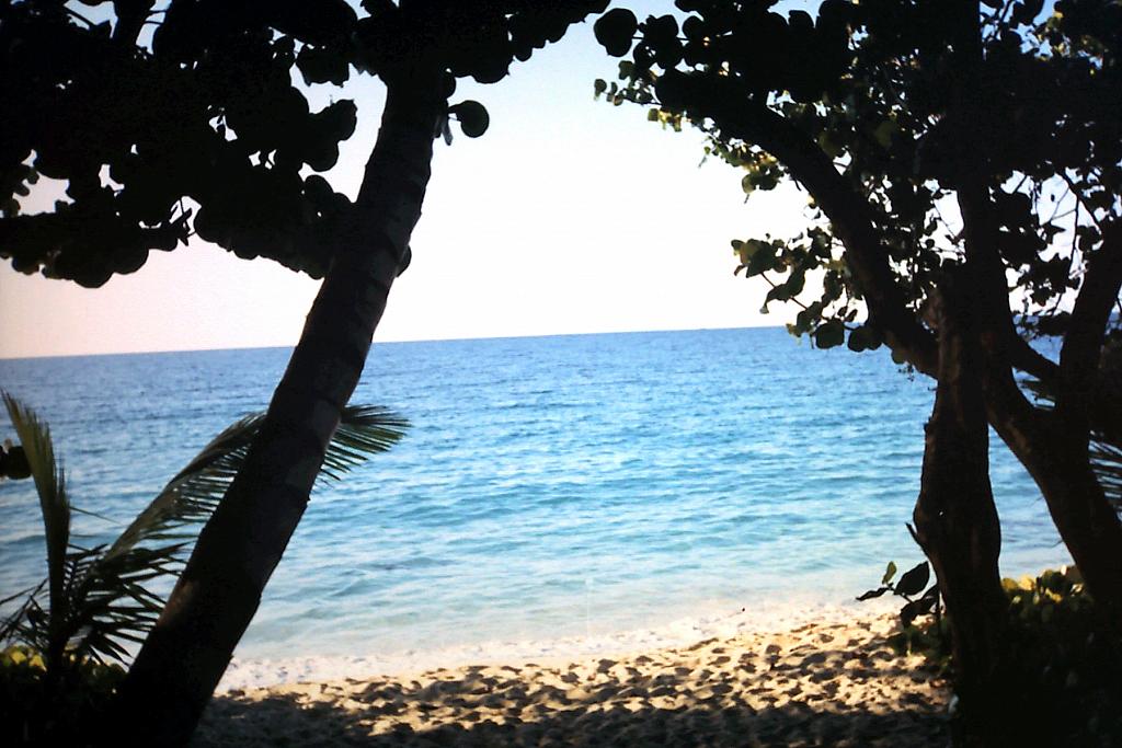 11-9-2009_004.JPG
