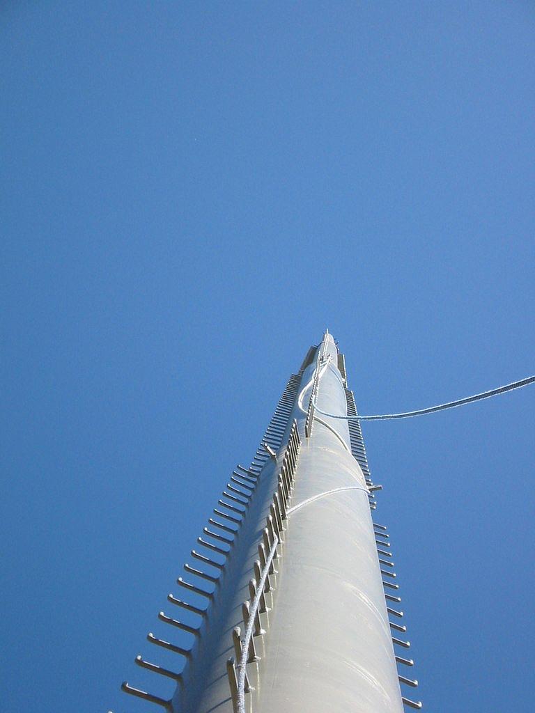 looking-up.jpg