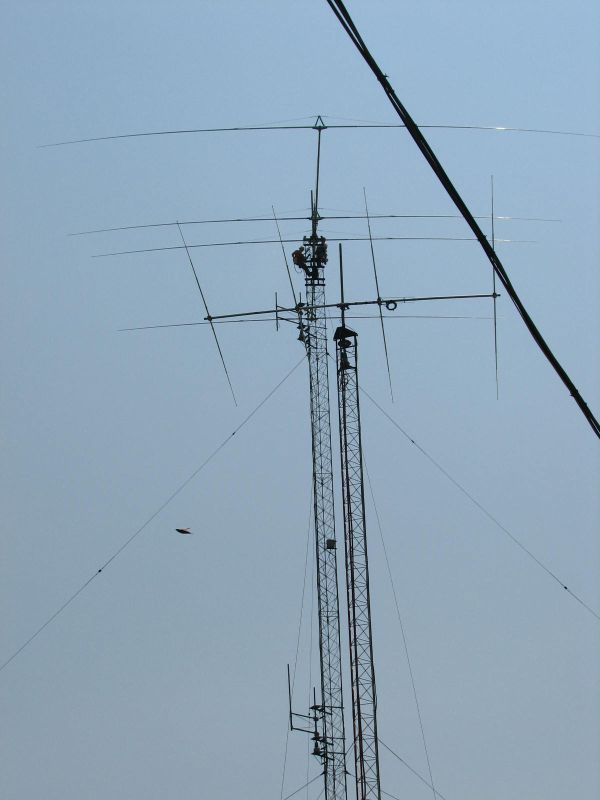 A prospective, a 4 element 17 meter
yagi in the foreground.  The new 4 element 40 in the background.
