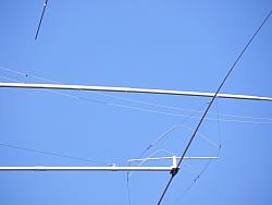 DSCN1649