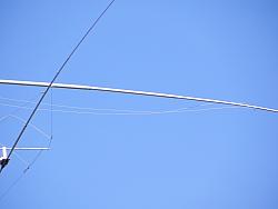 DSCN1650