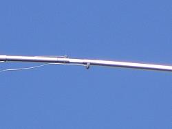 DSCN1654