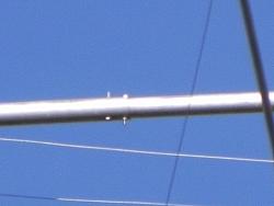 DSCN1657