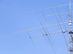 DSCN1661