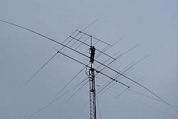 Another picture of Chuck climbing the mast. He is my hero!