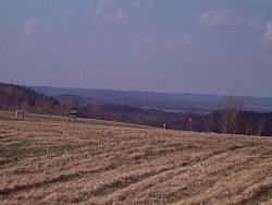 NW