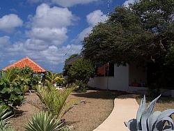 PJ2T front yard