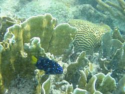 IMG_9851.JPG