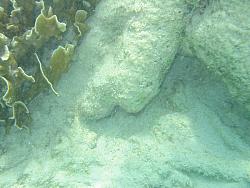 IMG_9853.JPG