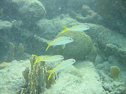 IMG_9854.JPG