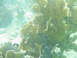 IMG_9856.JPG