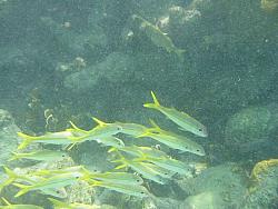 IMG_9859.JPG