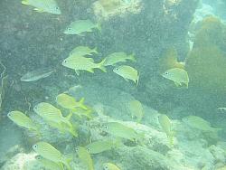 IMG_9865.JPG