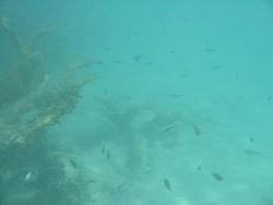 IMG_9870.JPG