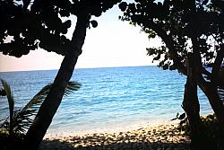 11-9-2009_004.JPG