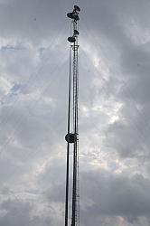 This is the top part of the 240' commercial (microwave) tower to be relocated to the property within the next couple of months.