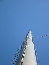 looking-up.jpg