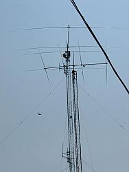 A prospective, a 4 element 17 meter
yagi in the foreground.  The new 4 element 40 in the background.
