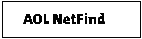 Aol Netfind
